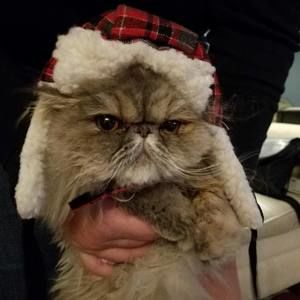 Meet your Posher, Christine